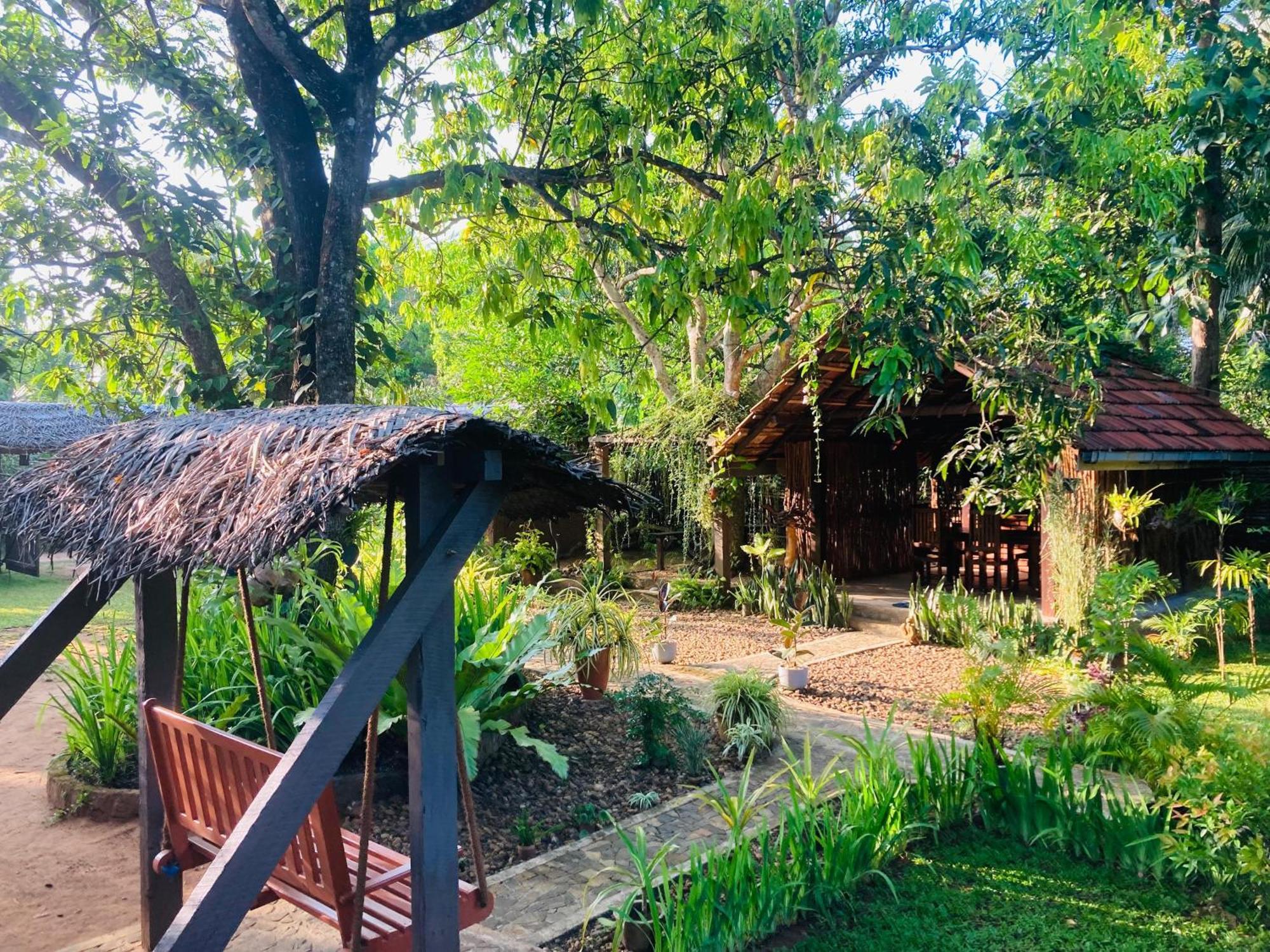Green Paradise Cottage Udawalawa Udawalawe Buitenkant foto