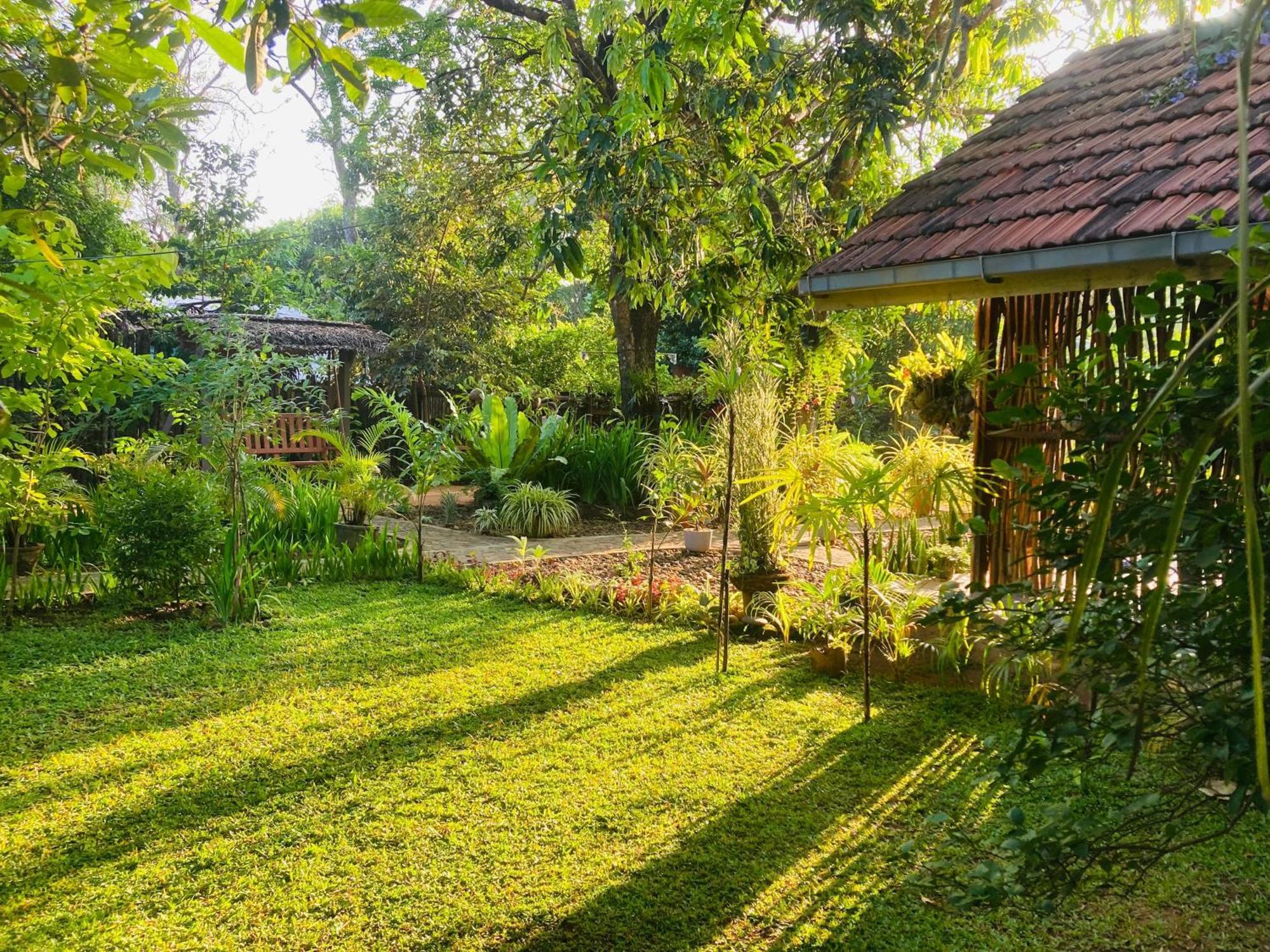 Green Paradise Cottage Udawalawa Udawalawe Buitenkant foto