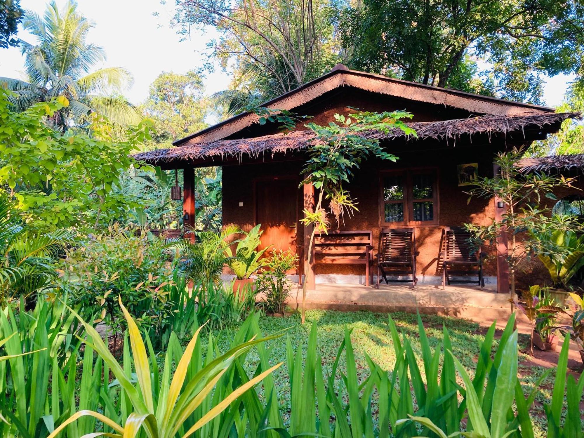 Green Paradise Cottage Udawalawa Udawalawe Buitenkant foto