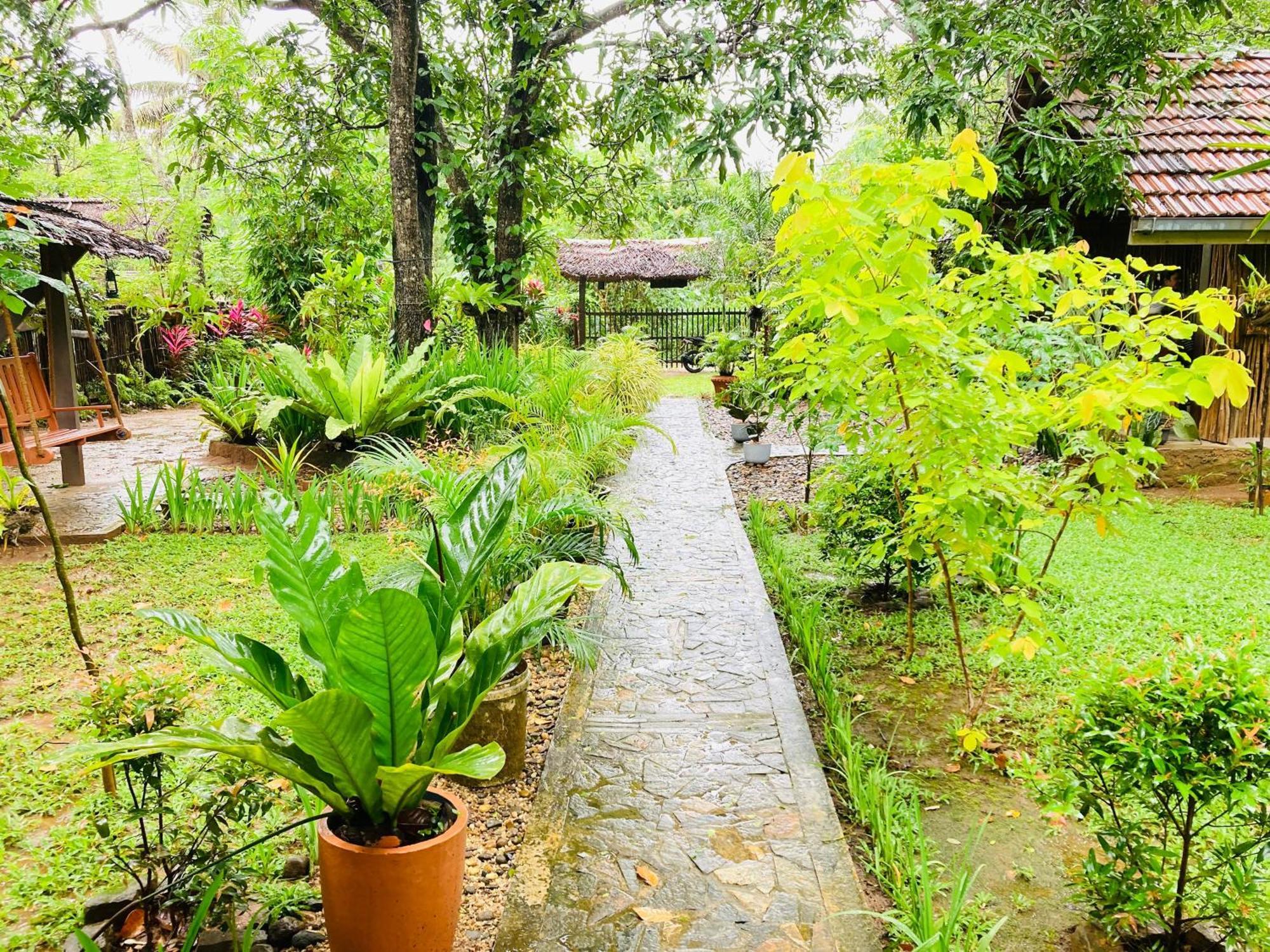 Green Paradise Cottage Udawalawa Udawalawe Buitenkant foto