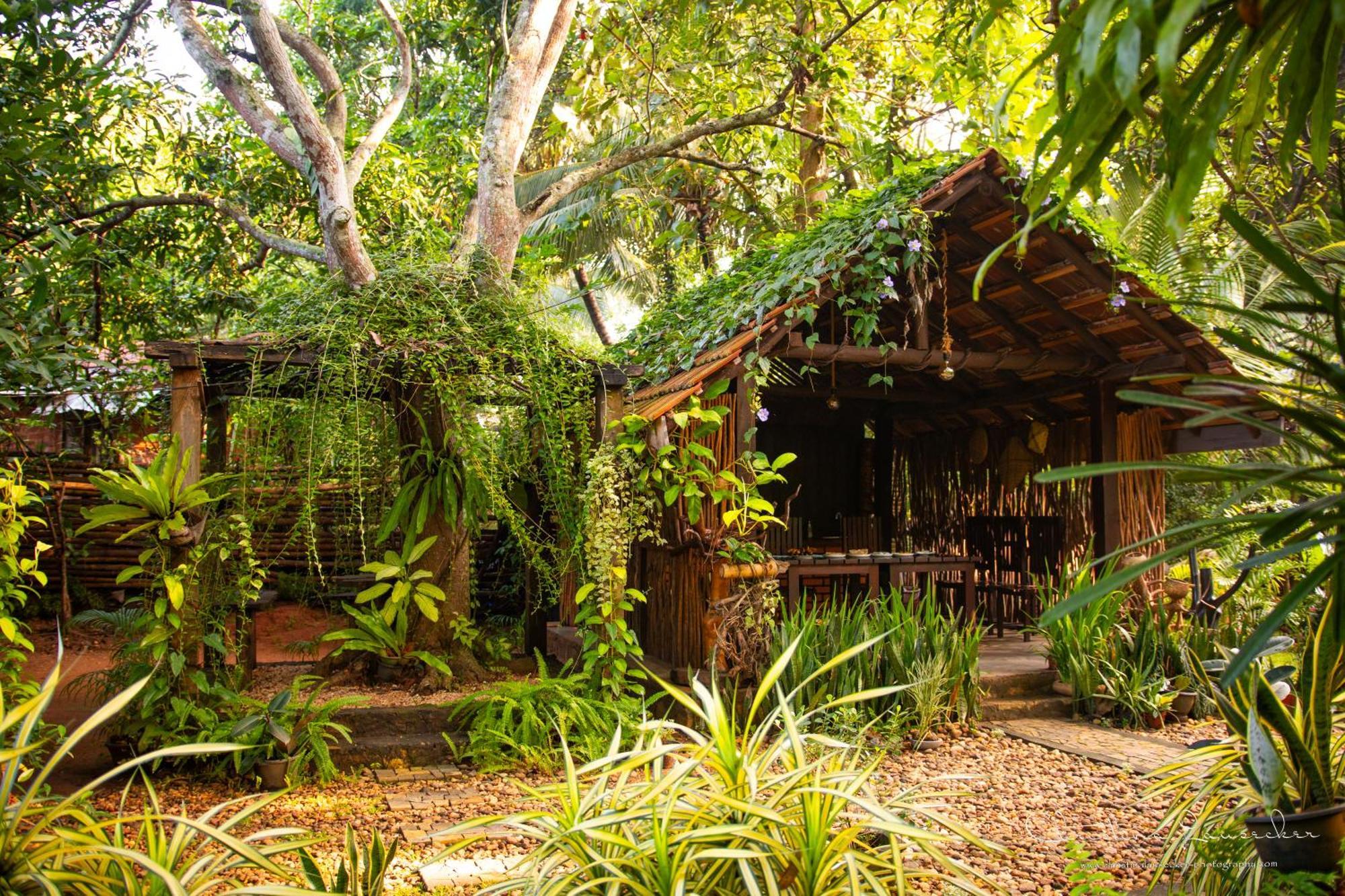 Green Paradise Cottage Udawalawa Udawalawe Buitenkant foto