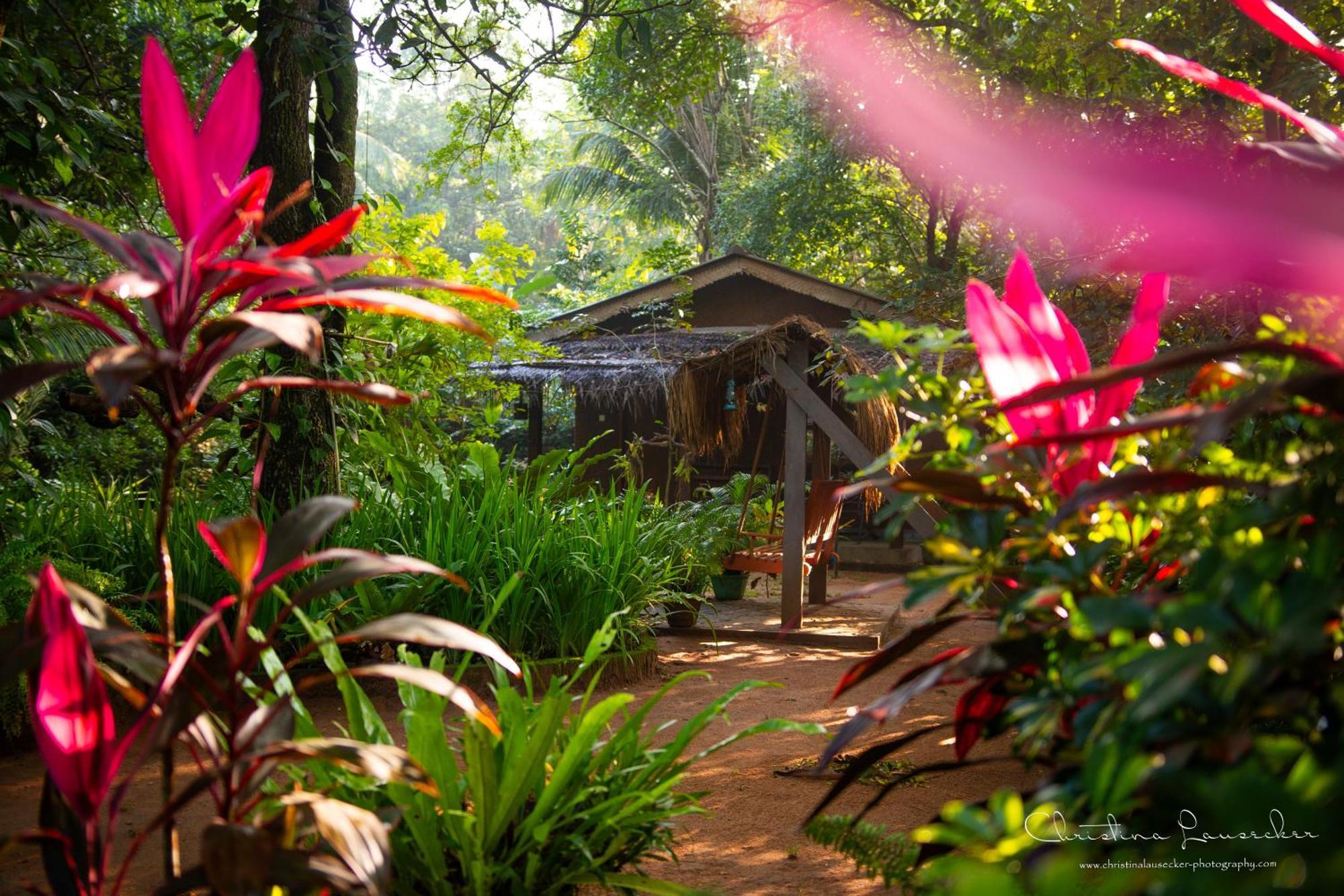 Green Paradise Cottage Udawalawa Udawalawe Buitenkant foto