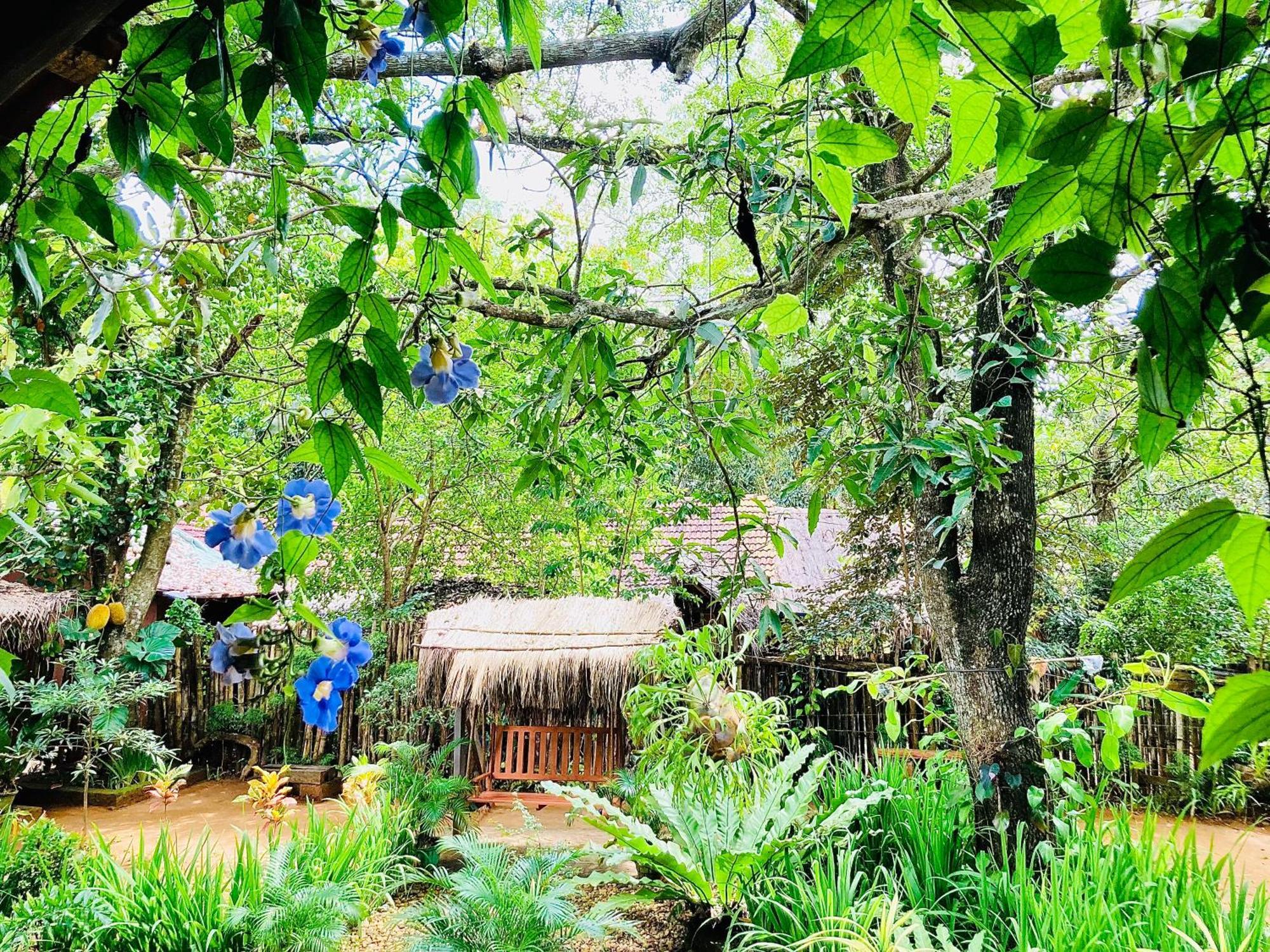 Green Paradise Cottage Udawalawa Udawalawe Buitenkant foto