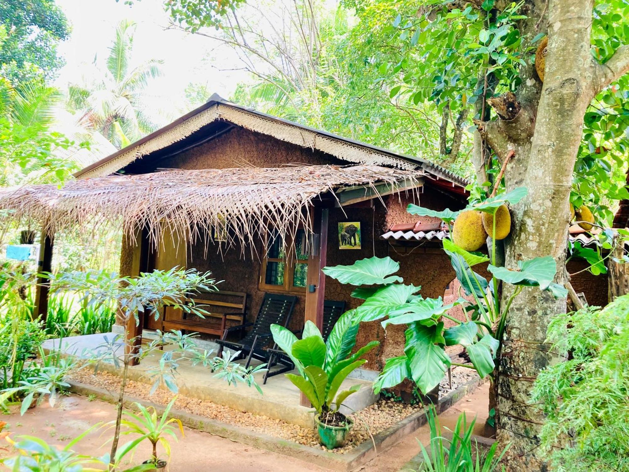 Green Paradise Cottage Udawalawa Udawalawe Buitenkant foto